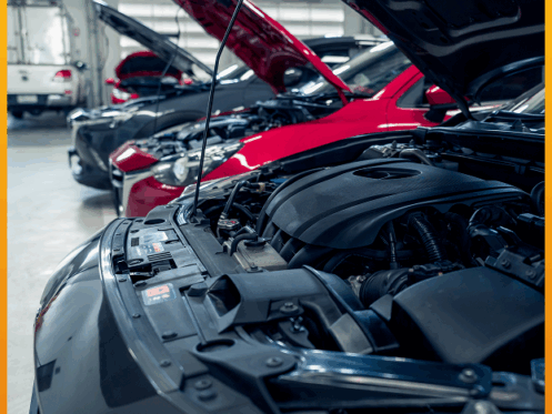 Line of cars with hoods up in the shop