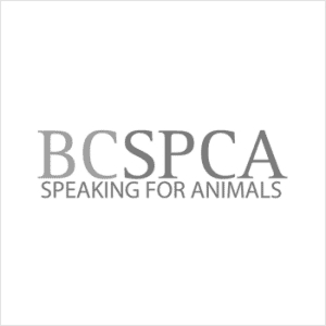 BCSPCA