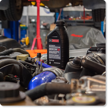 Expert Oil Change in Langley, BC