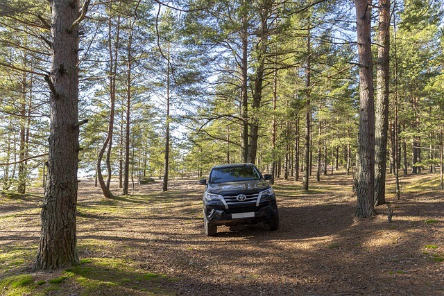 Toyota truck in a forest