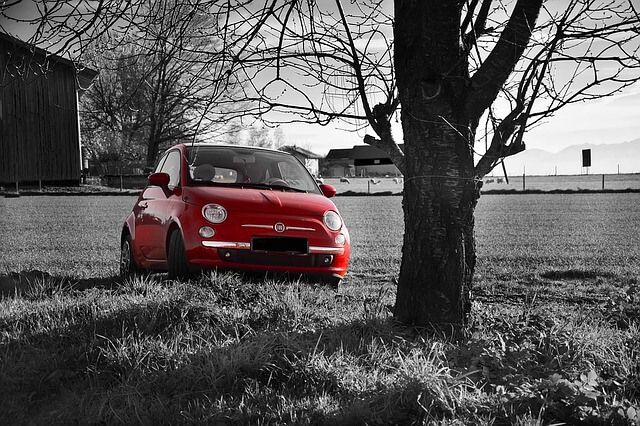 Fiat 500 red in a field